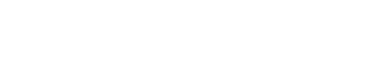 Smart Vision Logo Complementar